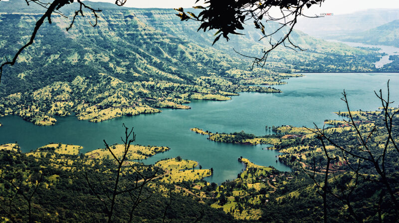Evergreen Forests with lakes view