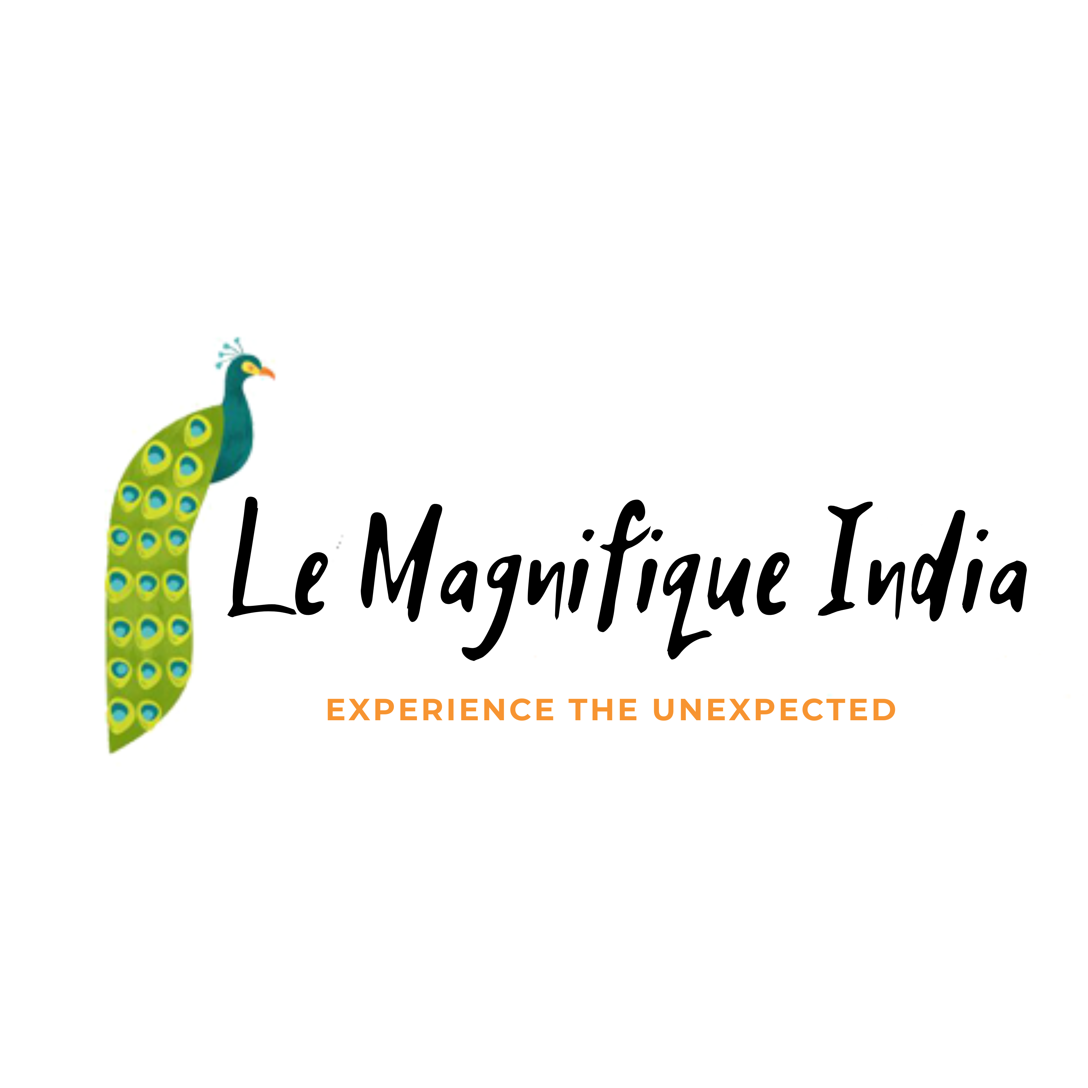 Le Magnifique India